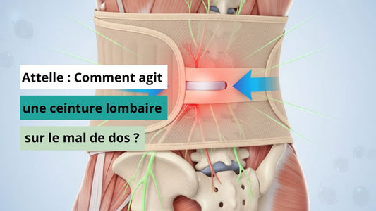ceinture lombaire